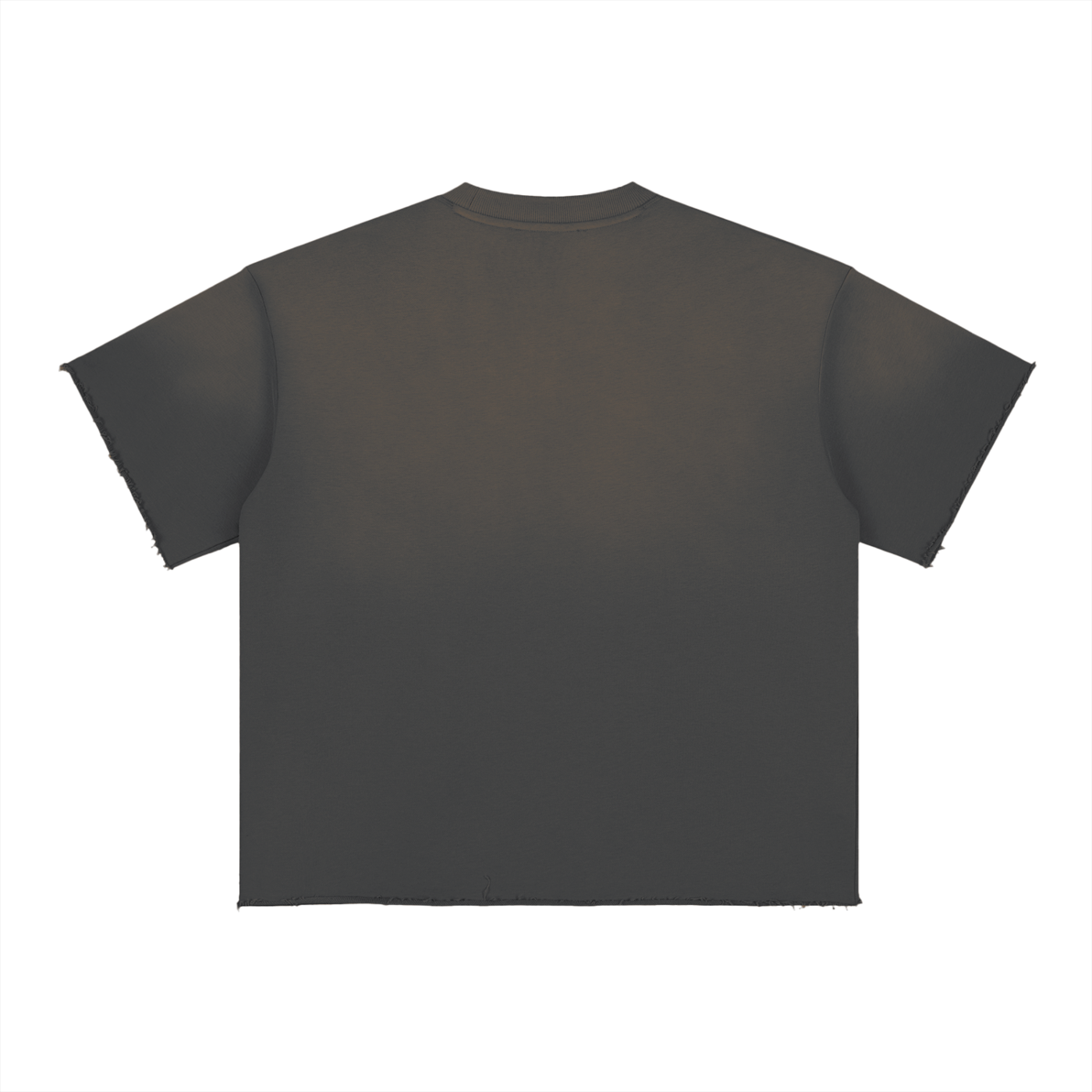 Ventura Legacy | Sun Fade Raw Edge T-Shirt Ezia