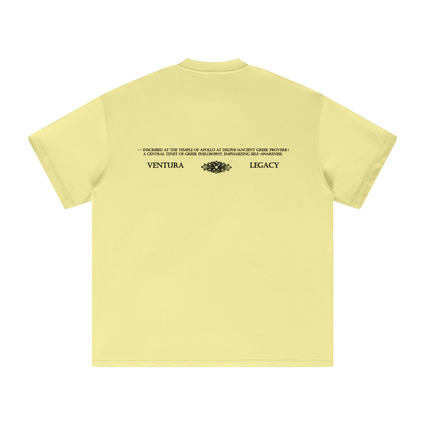 Heavyweight T-Shirt Proverb