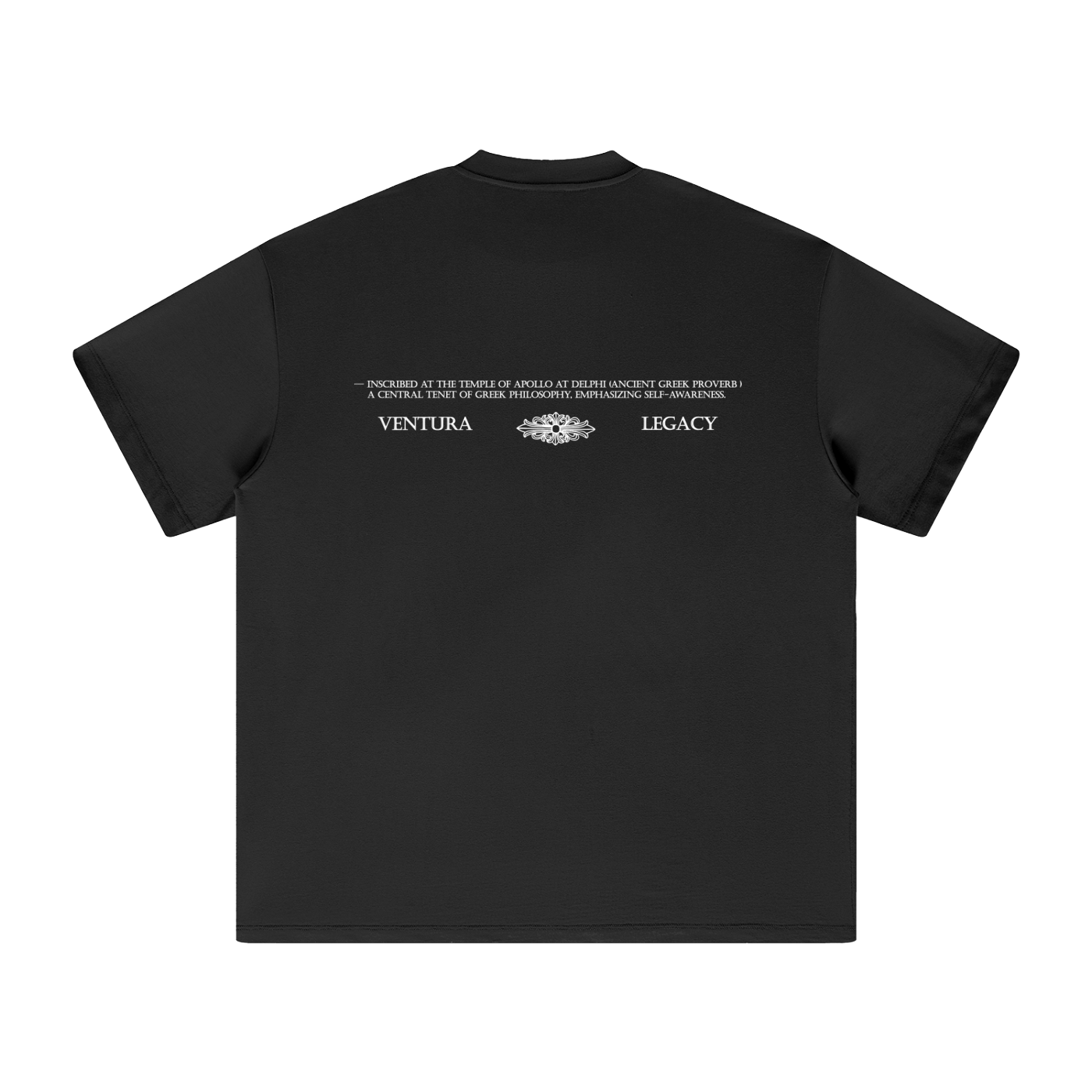 Heavyweight T-Shirt Proverb