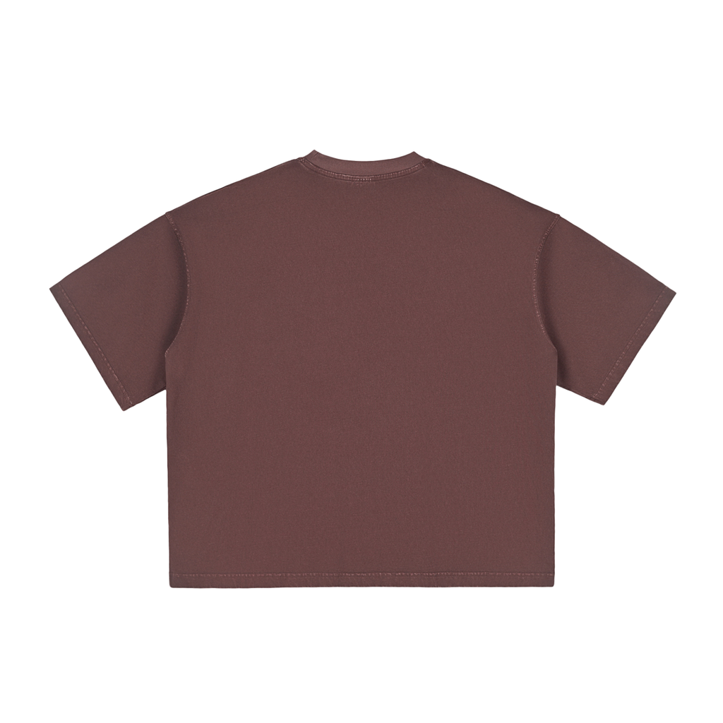 Ventura Legacy | Vintage Washed Boxy T-Shirt Hokko