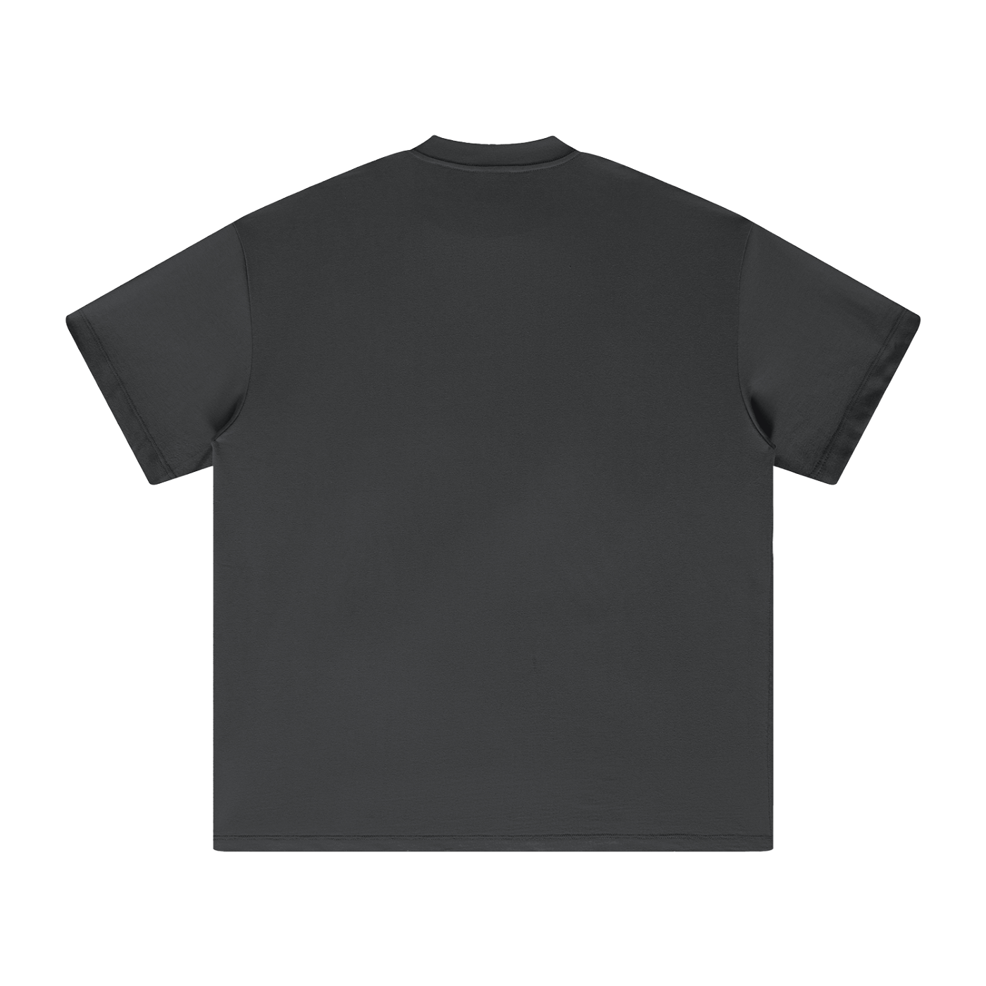 Heavyweight T-Shirt Lost