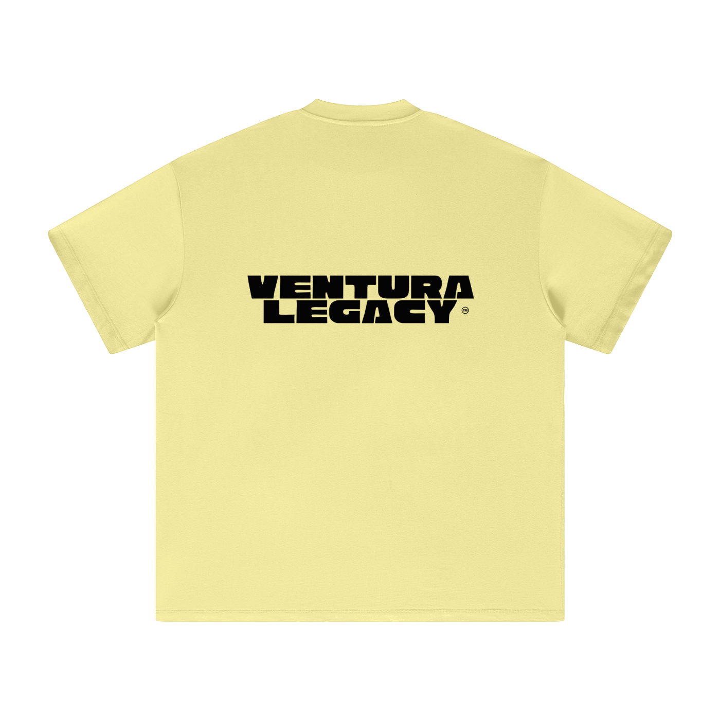 Ventura Legacy | Heavyweight Earth Tone T-Shirt Hated