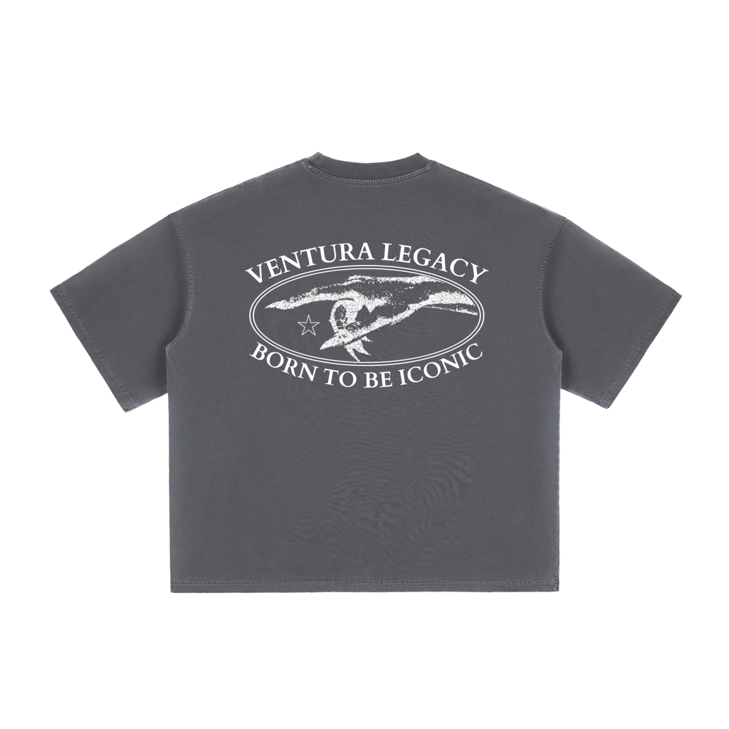 Ventura Legacy | Vintage Washed Boxy T-Shirt Circumvent