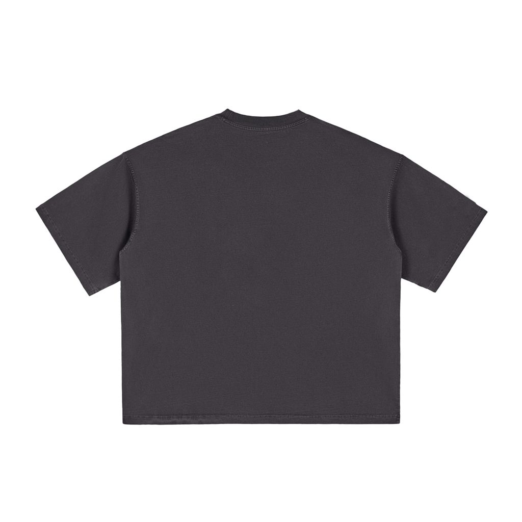 Ventura Legacy | Vintage Washed Boxy T-Shirt Devon
