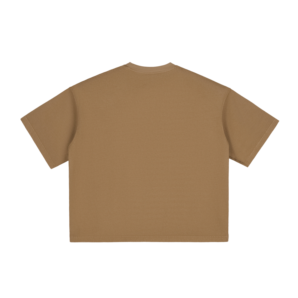 Ventura Legacy | Vintage Washed Boxy T-Shirt Messa