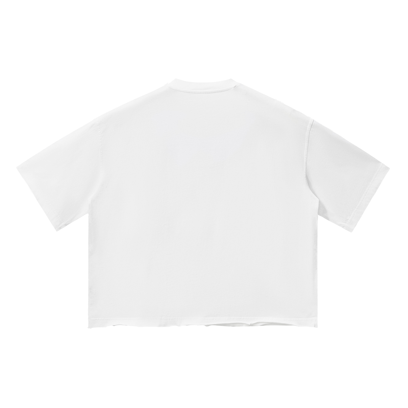 Ventura Legacy | Unisex Vintage Wash Boxy T-Shirt Northmark