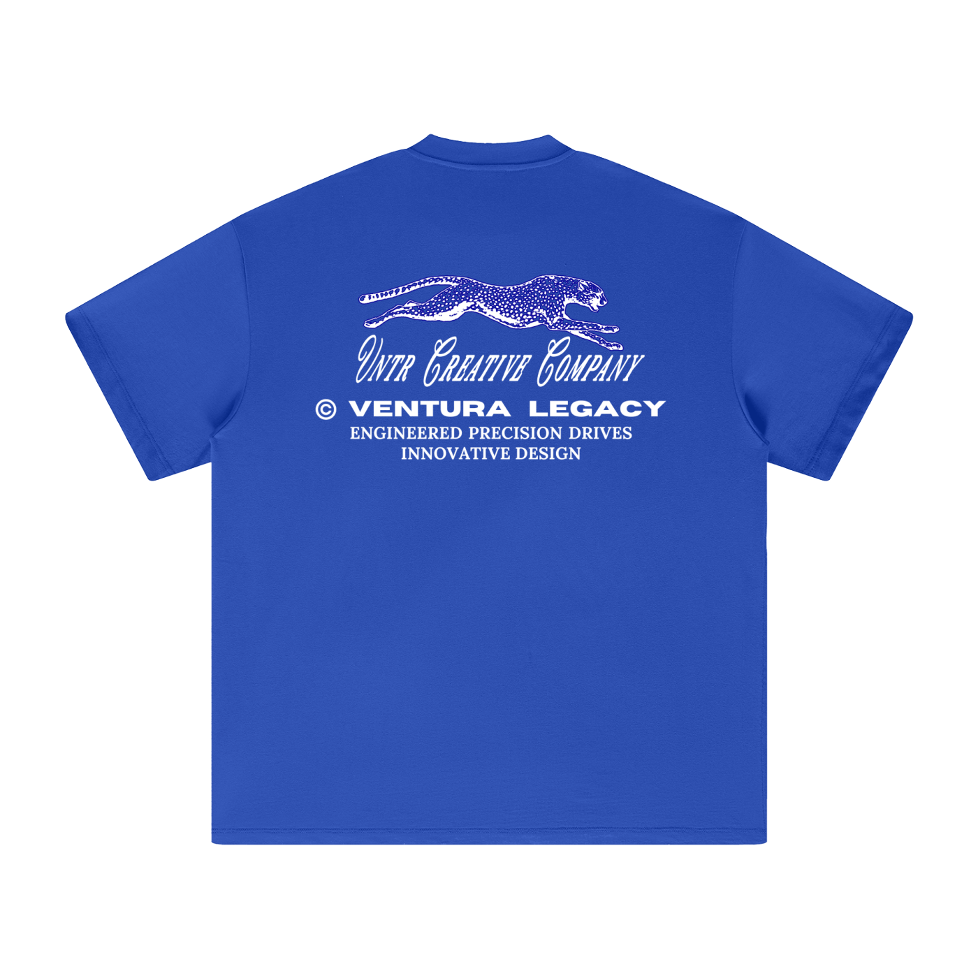 Ventura Legacy | Heavyweight Earth Tone T-Shirt Wreck