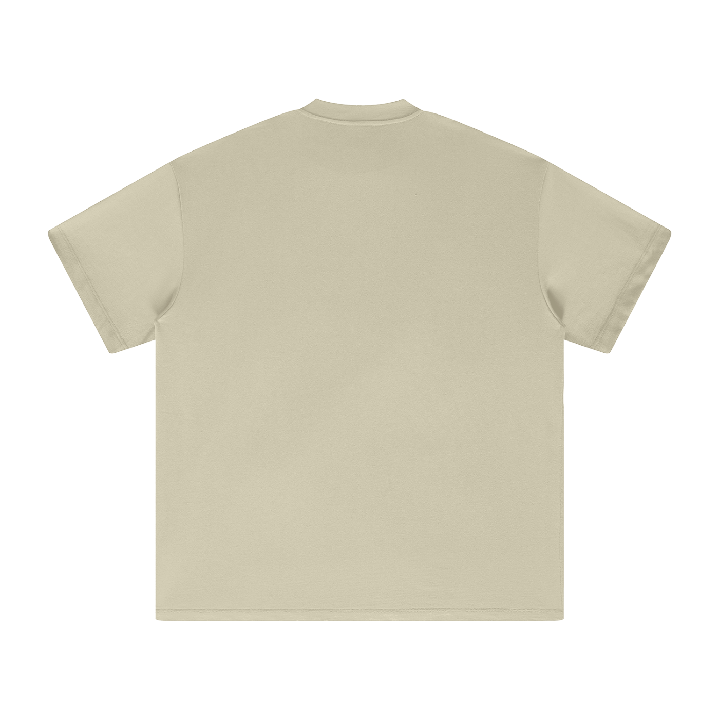 Ventura Legacy | Heavyweight Earth Tone T-Shirt Iconic