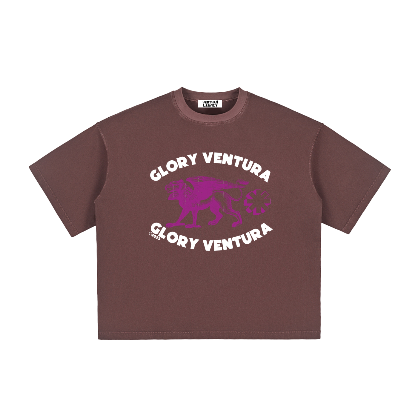 Ventura Legacy | Vintage Washed Boxy T-Shirt Glory Ventura