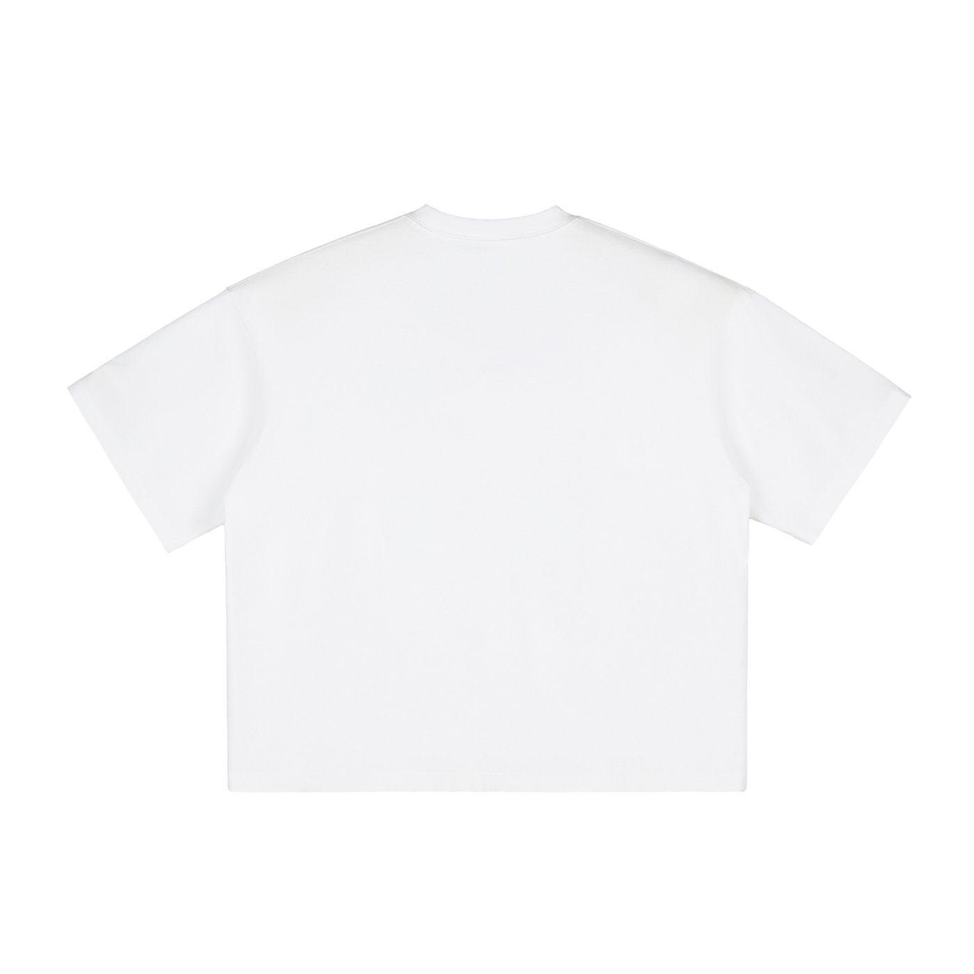 Ventura Legacy | Vintage Washed Boxy T-Shirt SOF