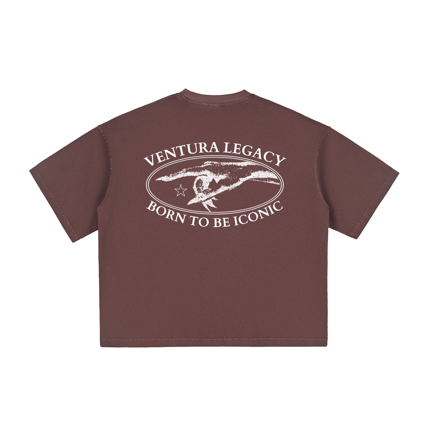 Ventura Legacy | Vintage Washed Boxy T-Shirt Circumvent