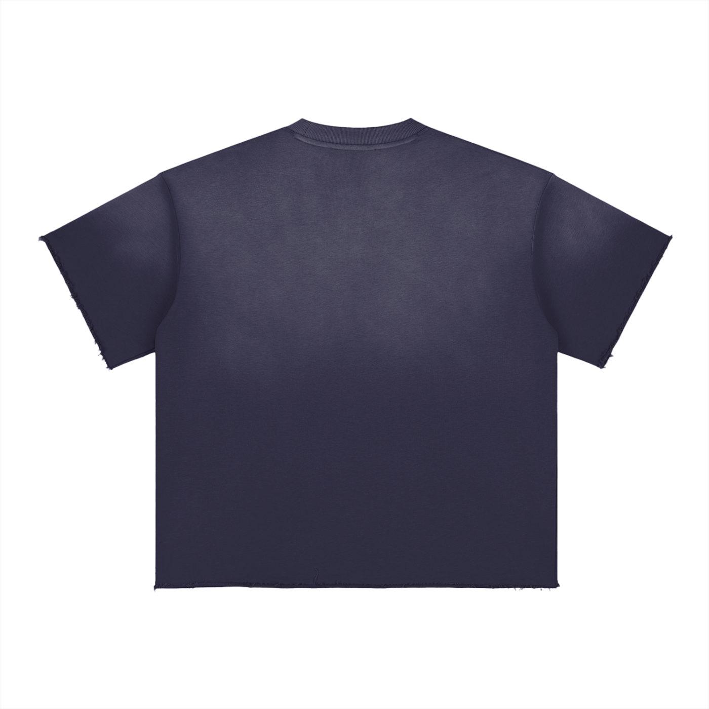 Ventura Legacy | Sun Fade Raw Edge T-Shirt Ezia