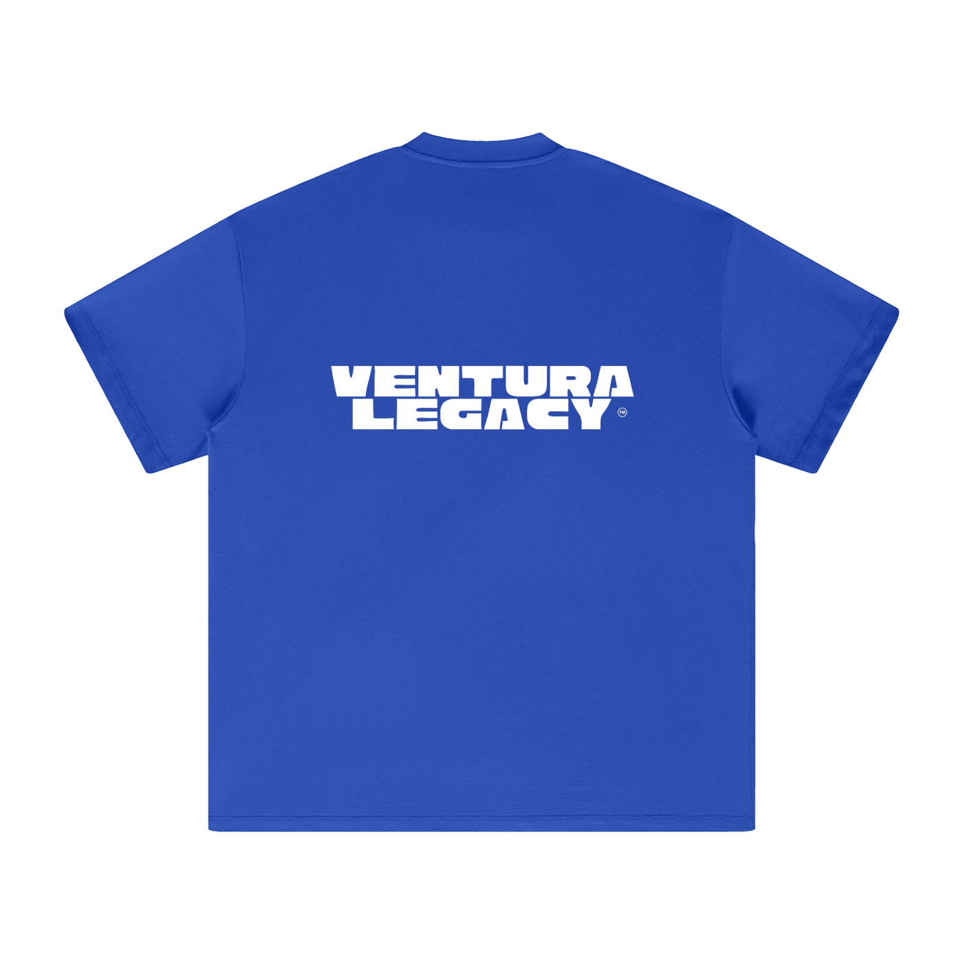 Ventura Legacy | Heavyweight Earth Tone T-Shirt Hated
