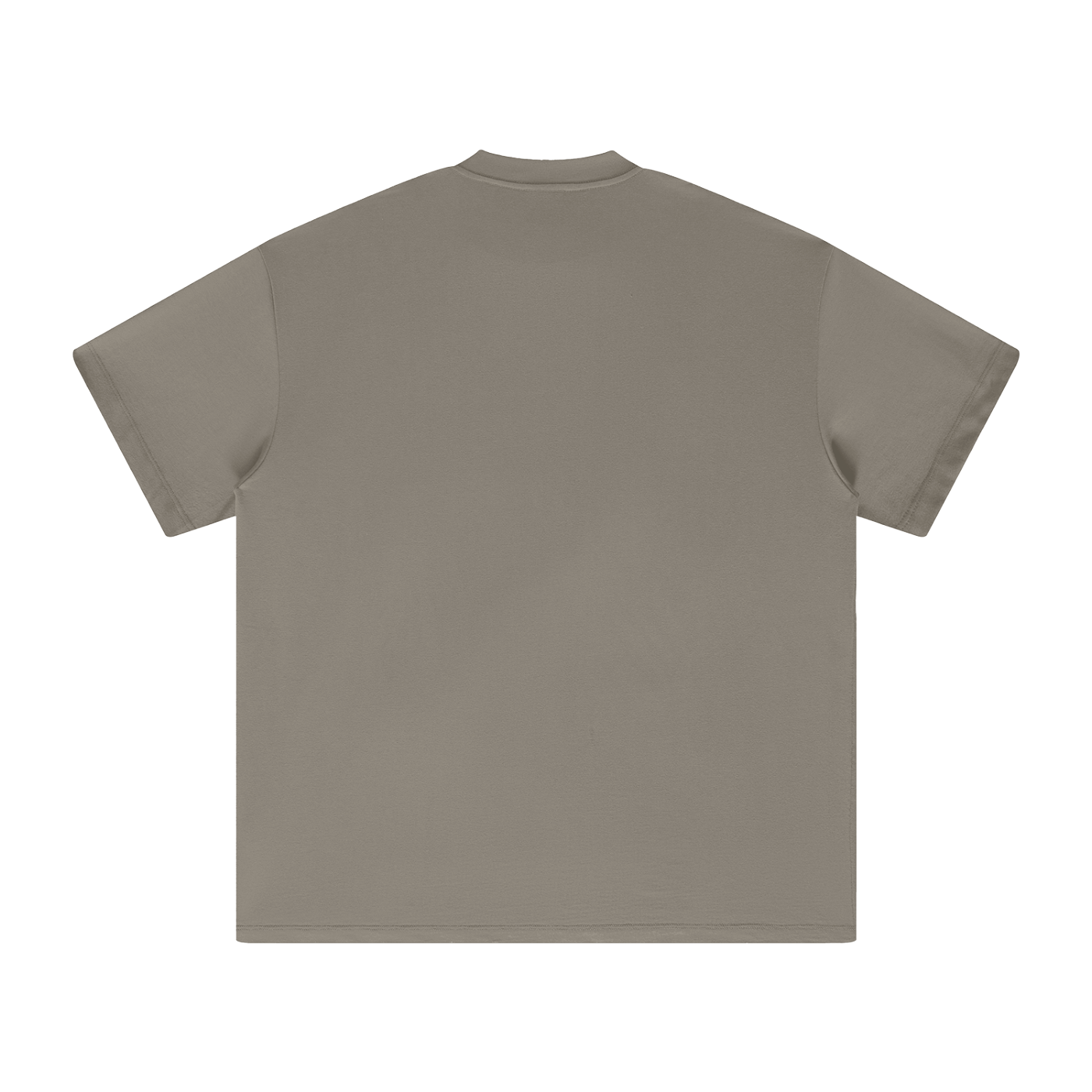 Ventura Legacy | Heavyweight Earth Tone T-Shirt Win