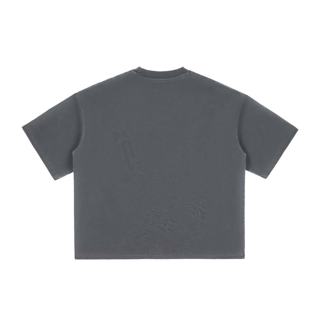 Ventura Legacy | Vintage Washed Boxy T-Shirt Drig