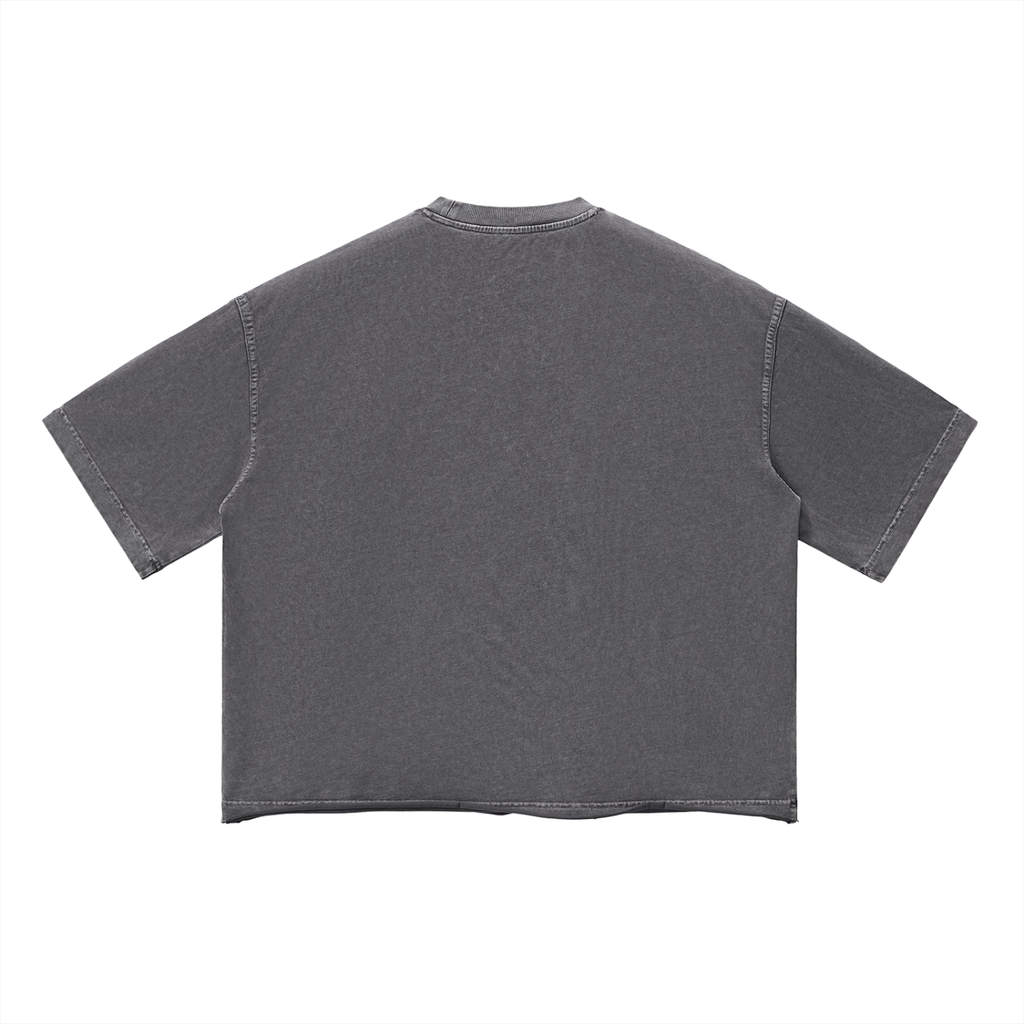 Ventura Legacy | Unisex Vintage Wash Boxy T-Shirt Northmark