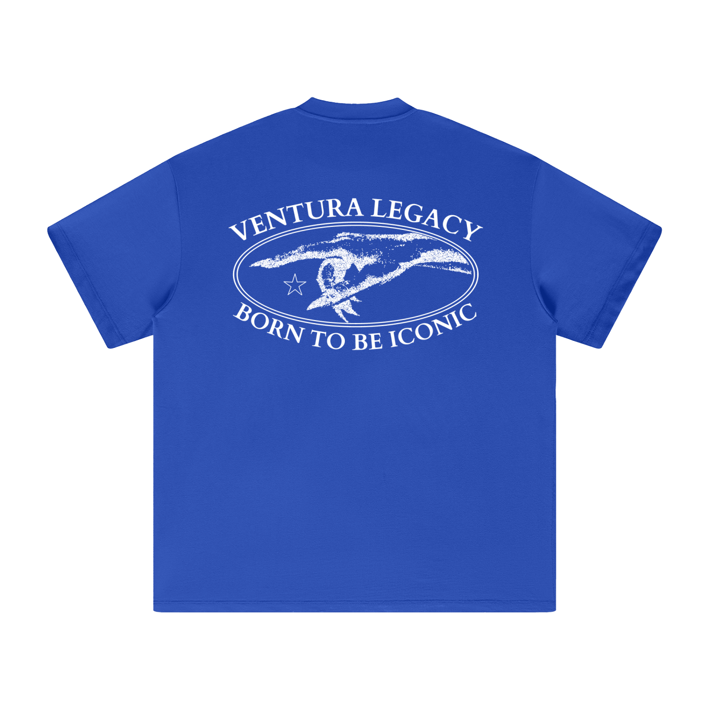 Ventura Legacy | Heavyweight Earth Tone T-Shirt Circumvent