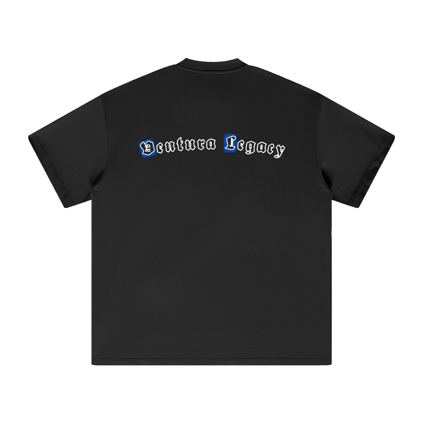 Heavyweight T-Shirt Whip