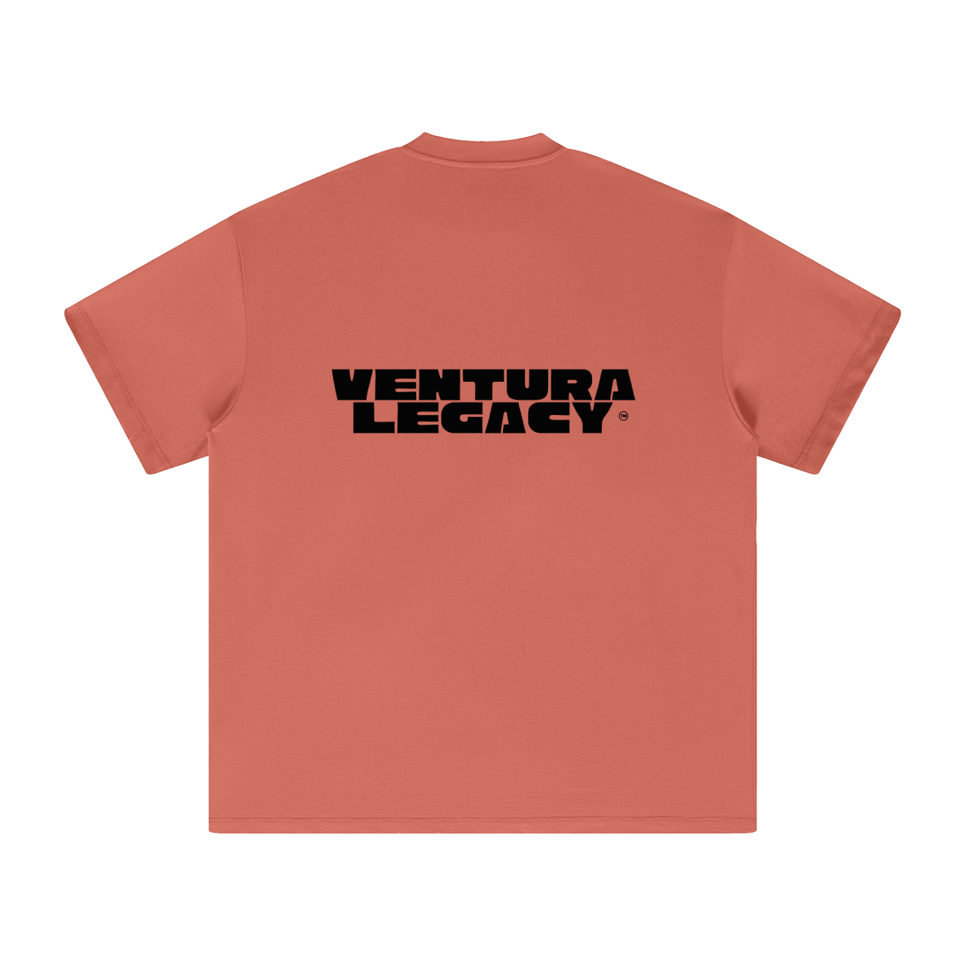 Ventura Legacy | Heavyweight Earth Tone T-Shirt Hated
