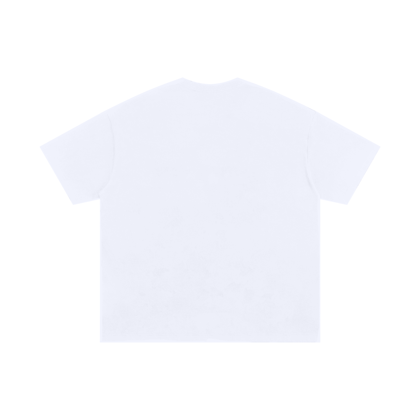 Ventura Legacy | Unisex Oversized Cotton T-Shirt Northmark