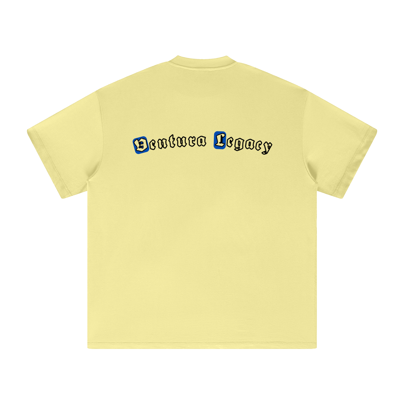 Heavyweight T-Shirt Whip